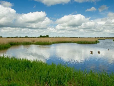 Otmoor Nature Reserve