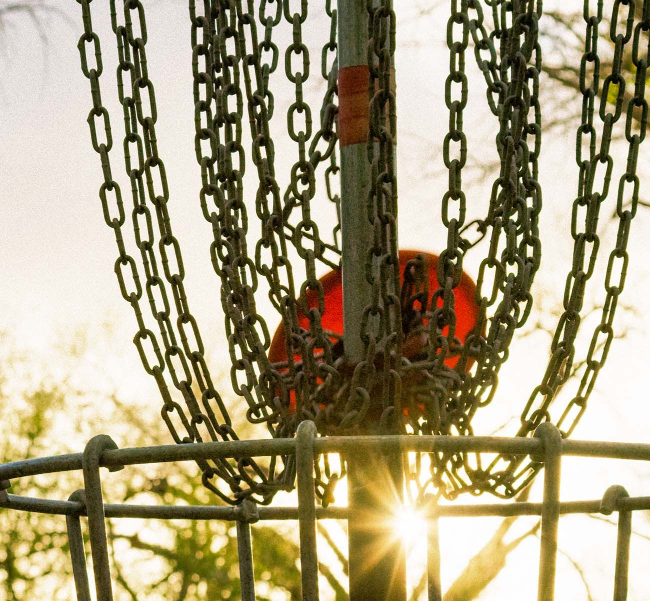 Oxford Glamping pizza on frisby 